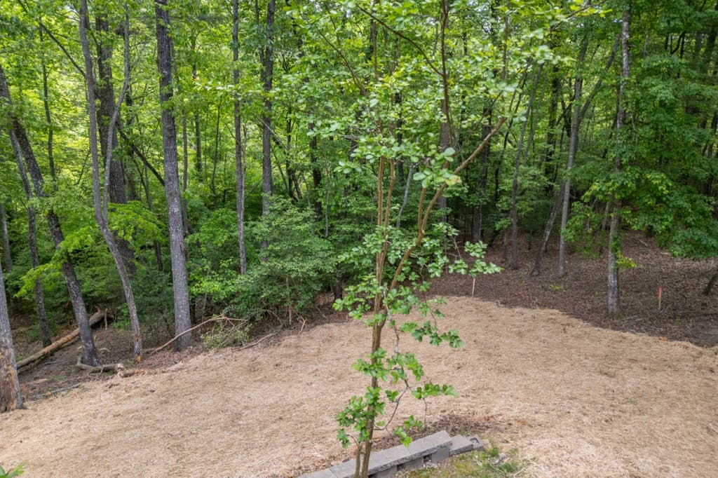 40 Caledonia Drive, Blairsville GA 30512 - Photo