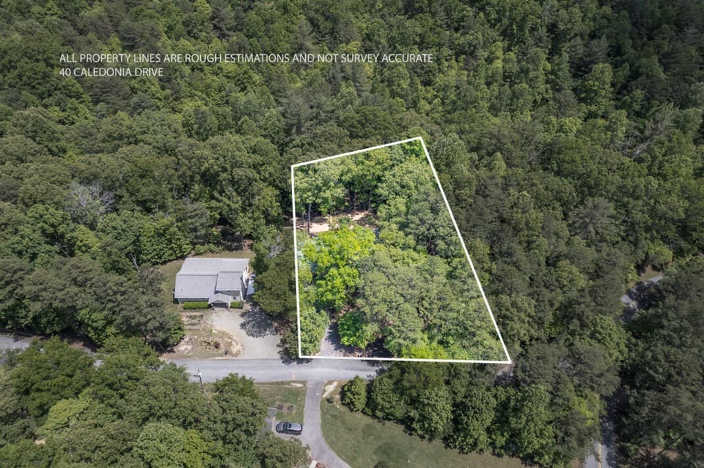 40 Caledonia Drive, Blairsville GA 30512 - Photo