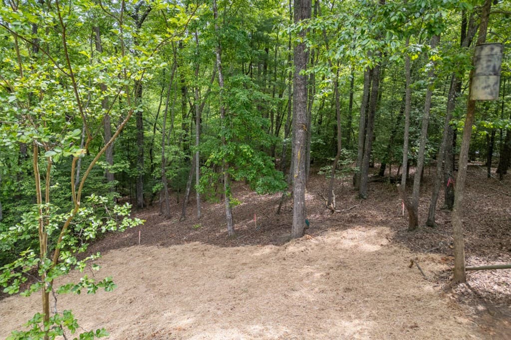 40 Caledonia Drive, Blairsville GA 30512 - Photo
