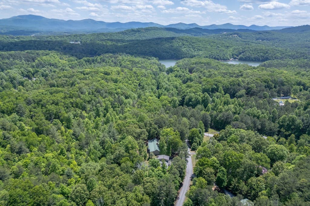 40 Caledonia Drive, Blairsville GA 30512 - Photo