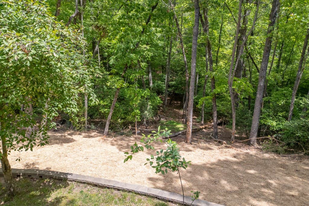 40 Caledonia Drive, Blairsville GA 30512 - Photo