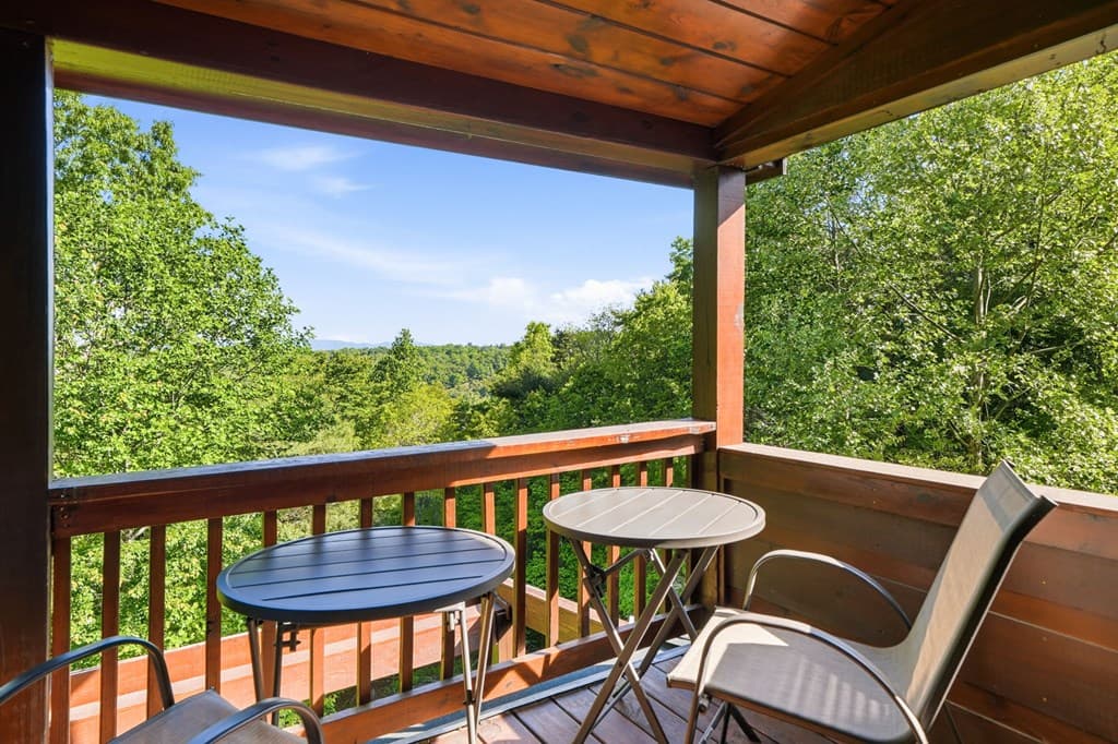 303 Pine Forest Loop, Blue Ridge GA 30513 - Photo