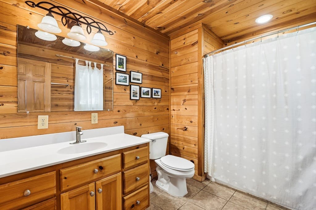 303 Pine Forest Loop, Blue Ridge GA 30513 - Photo