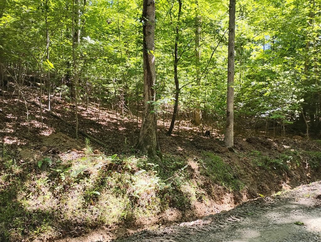 0 Gladstone Court, Ellijay GA 30540 - Photo