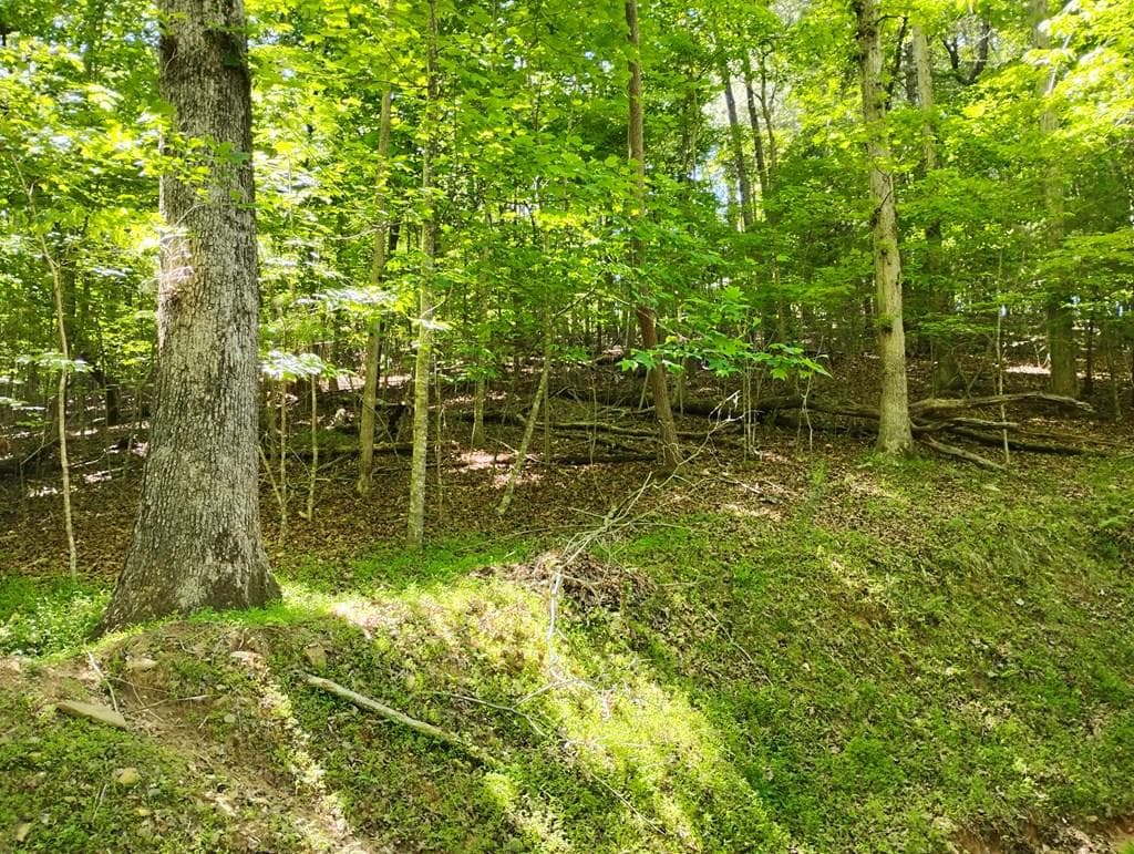 0 Gladstone Court, Ellijay GA 30540 - Primary photo