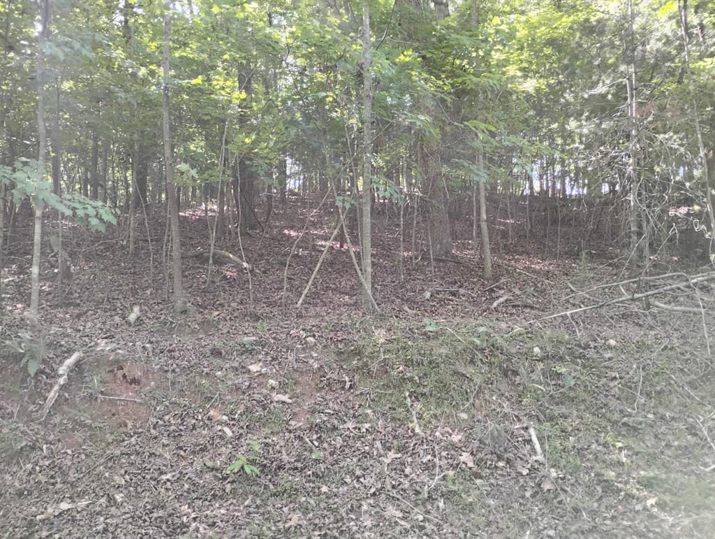 0 Gladstone Court, Ellijay GA 30540 - Photo