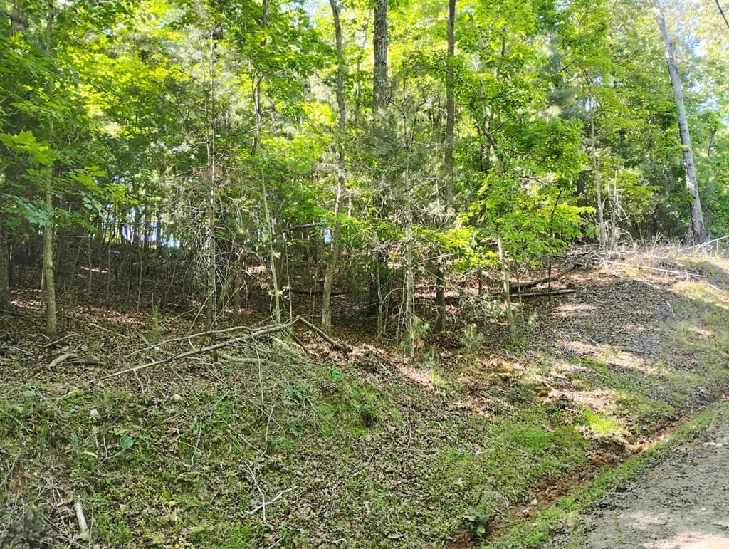 0 Gladstone Court, Ellijay GA 30540 - Photo