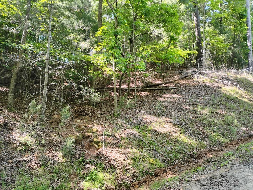 0 Gladstone Court, Ellijay GA 30540 - Photo