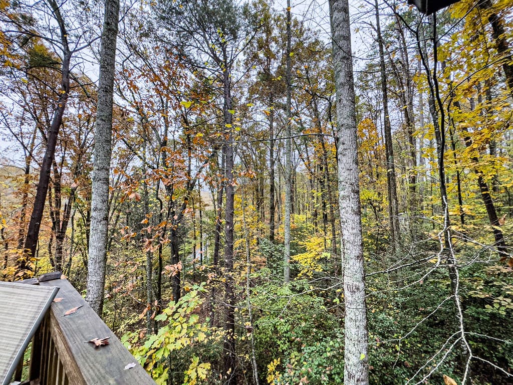 231 Dogwood Circle, Hayesville NC 28904 - Photo