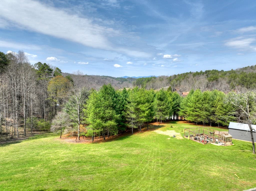 11.32 AC Indian Trace, Mineral Bluff GA 30559 - Photo