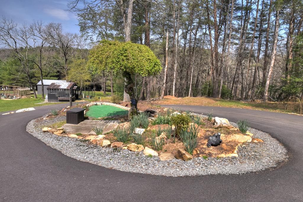 11.32 AC Indian Trace, Mineral Bluff GA 30559 - Photo