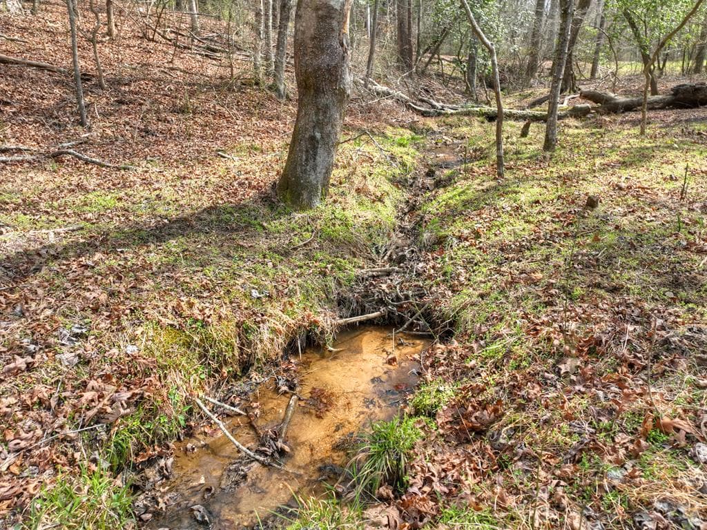 11.32 AC Indian Trace, Mineral Bluff GA 30559 - Photo