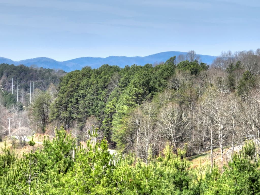 11.32 AC Indian Trace, Mineral Bluff GA 30559 - Photo