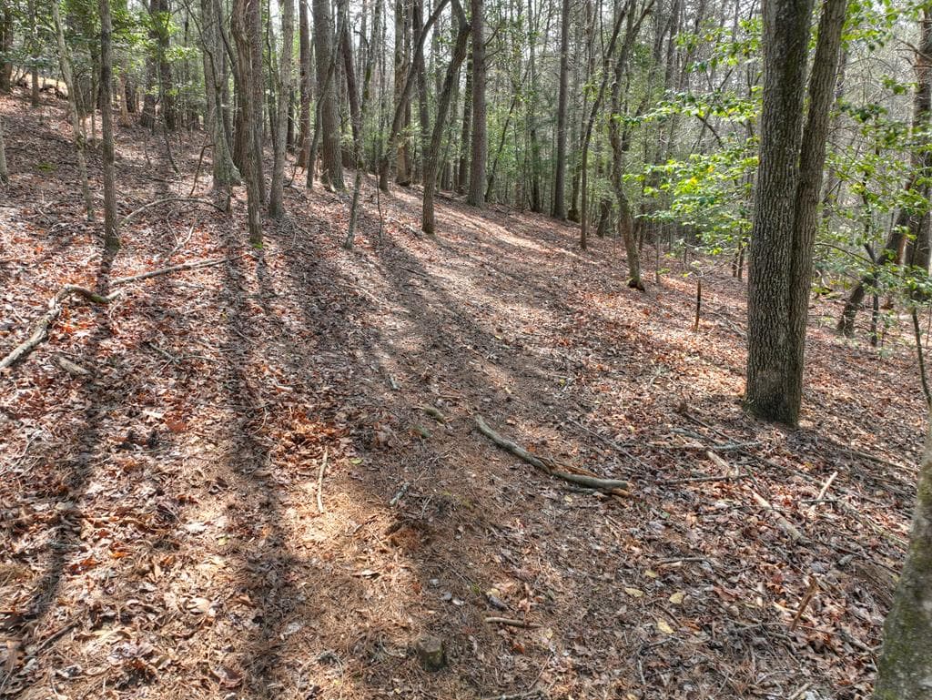 11.32 AC Indian Trace, Mineral Bluff GA 30559 - Photo