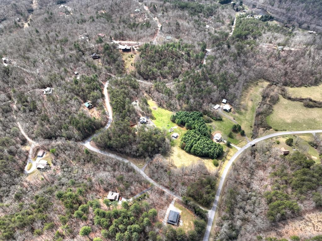 11.32 AC Indian Trace, Mineral Bluff GA 30559 - Photo