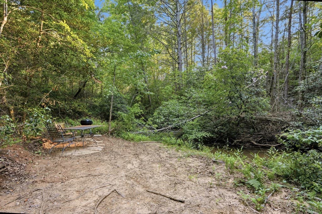 1823 Shoal Creek Road, Clarkesville GA 30523 - Photo