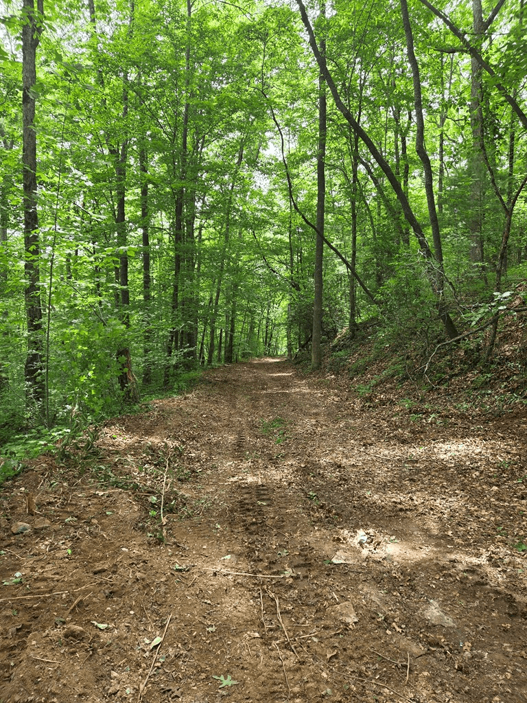 Lot 4 Ch Colwell Drive, Blairsville GA 30512 - Photo