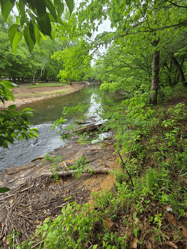 Lot 4 Ch Colwell Drive, Blairsville GA 30512 - Photo