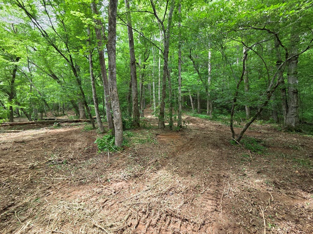 Lot 4 Ch Colwell Drive, Blairsville GA 30512 - Photo