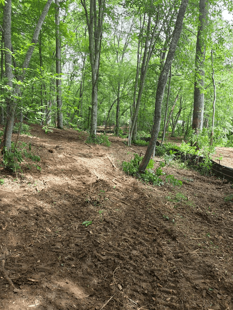 Lot 4 Ch Colwell Drive, Blairsville GA 30512 - Photo
