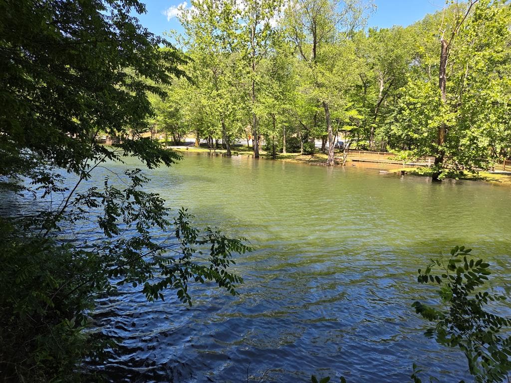 Lot 4 Ch Colwell Drive, Blairsville GA 30512 - Primary photo