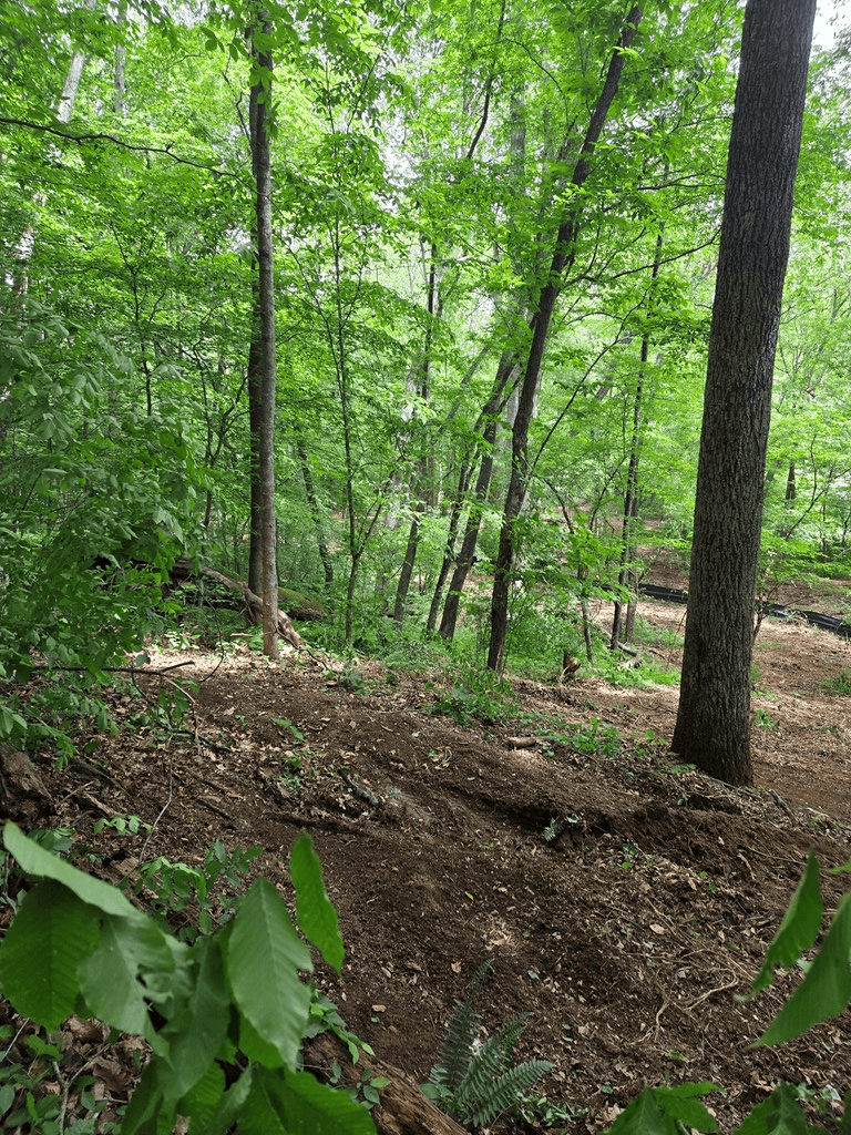 Lot 4 Ch Colwell Drive, Blairsville GA 30512 - Photo