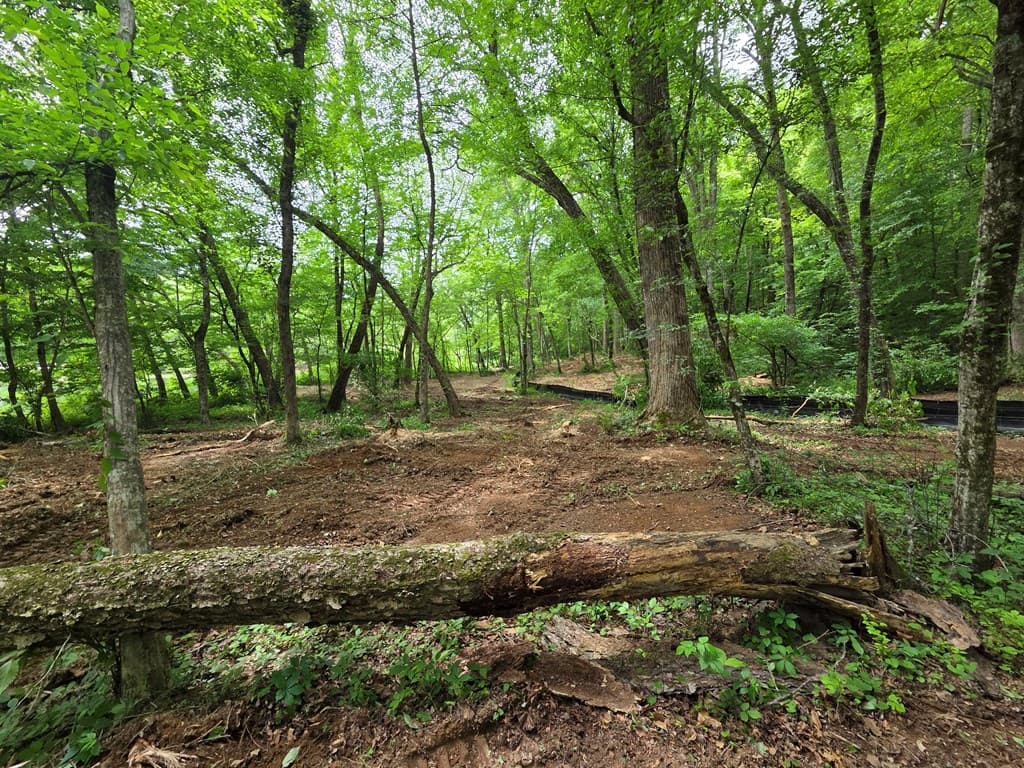 Lot 4 Ch Colwell Drive, Blairsville GA 30512 - Photo