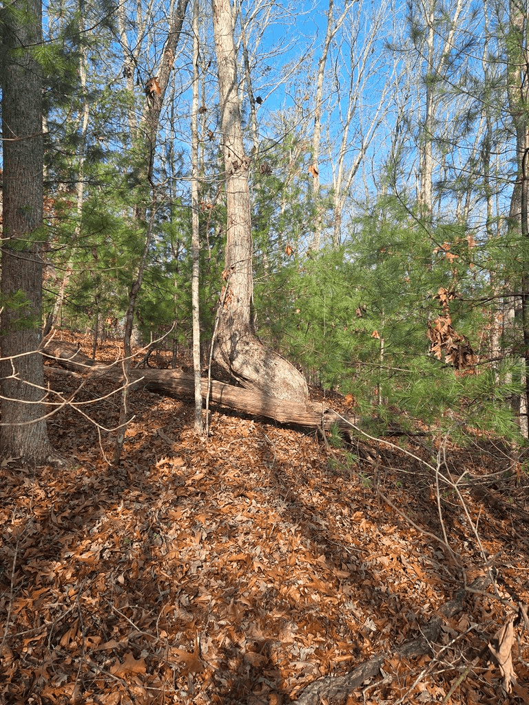 Lot 4 Ch Colwell Drive, Blairsville GA 30512 - Photo