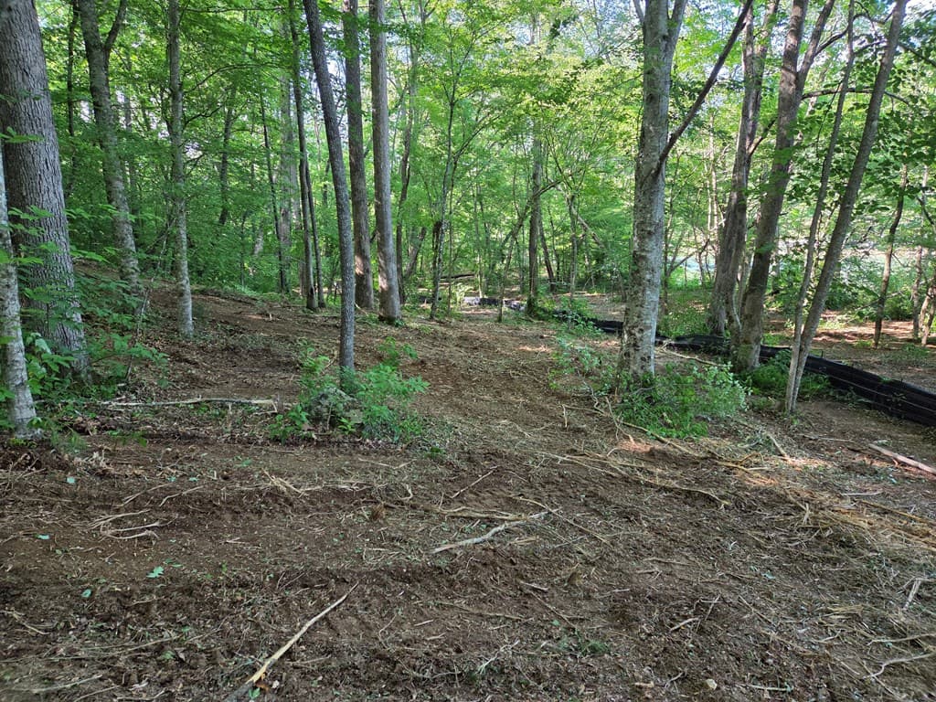 Lot 4 Ch Colwell Drive, Blairsville GA 30512 - Photo