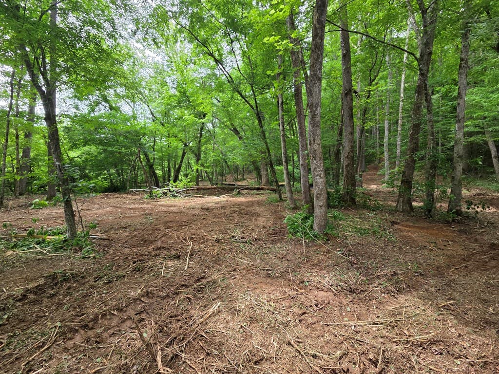 Lot 4 Ch Colwell Drive, Blairsville GA 30512 - Photo