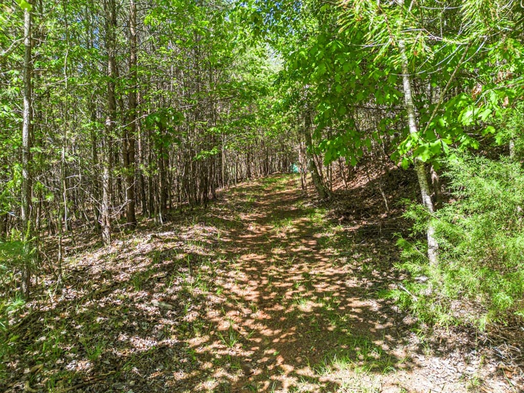 392 Oak Hills Drive, Morganton GA 30560 - Photo