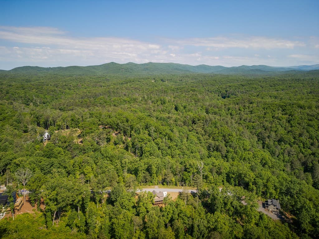 196 N Jakes Landing Way, Ellijay GA 30540 - Photo