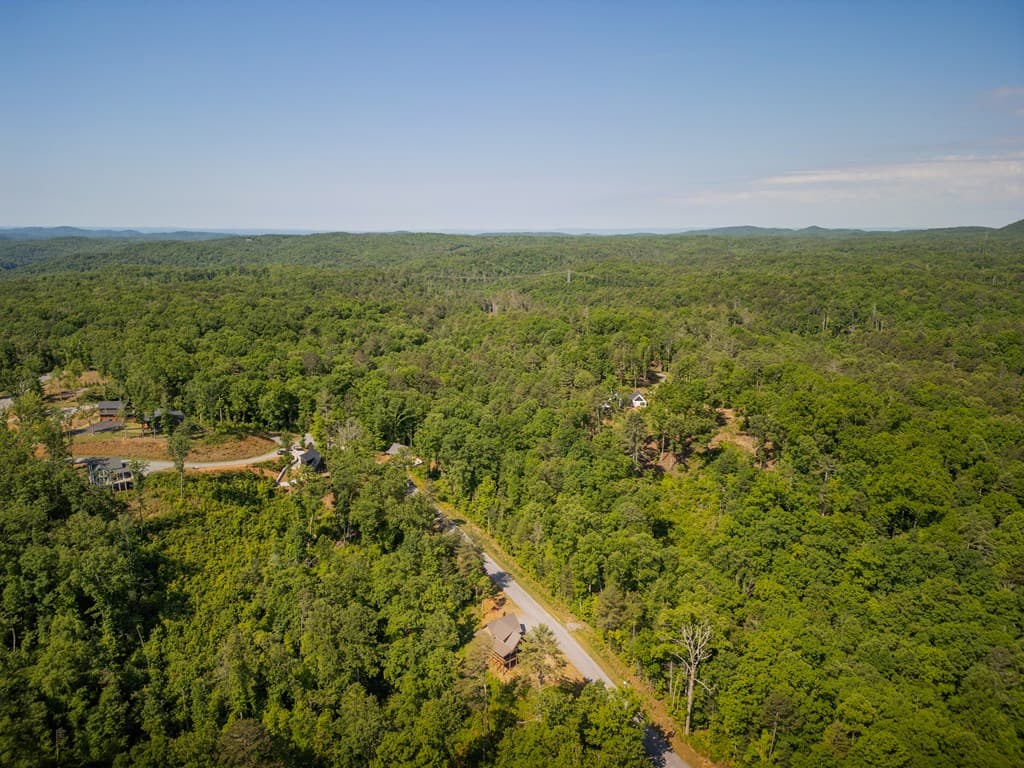 196 N Jakes Landing Way, Ellijay GA 30540 - Photo
