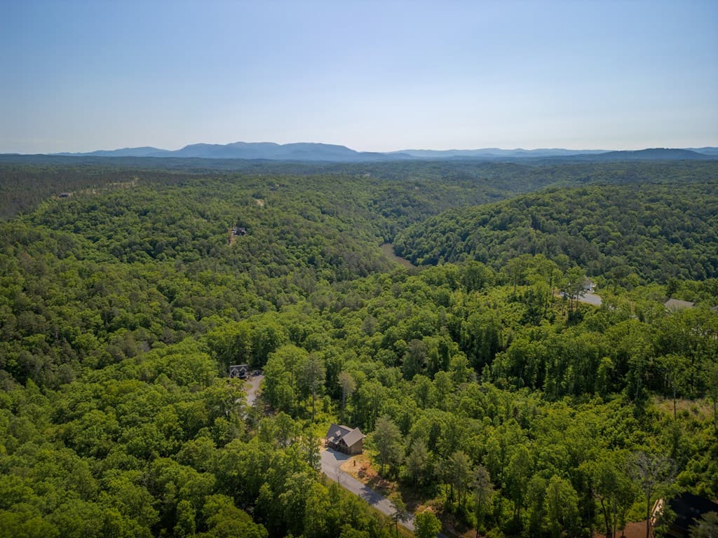 196 N Jakes Landing Way, Ellijay GA 30540 - Photo
