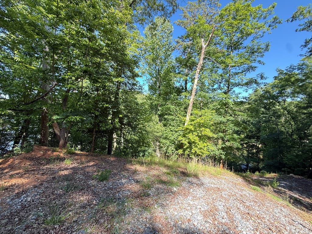 0 Limber Lost Trail, Cleveland GA 30528 - Photo