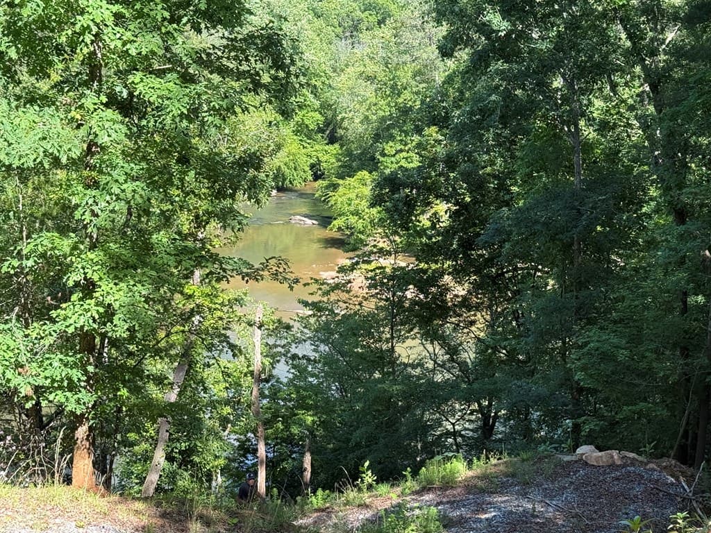 0 Limber Lost Trail, Cleveland GA 30528 - Photo