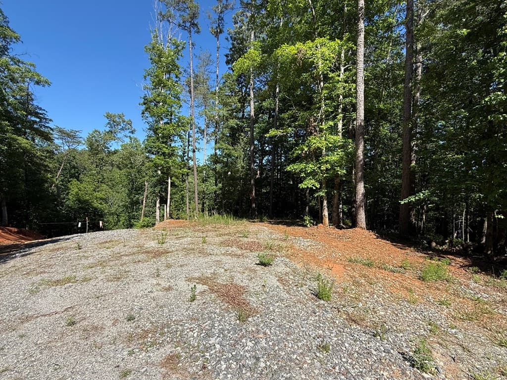 0 Limber Lost Trail, Cleveland GA 30528 - Photo