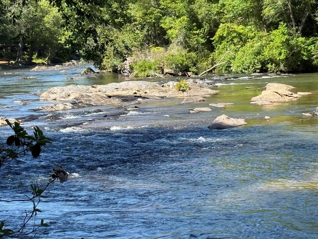 0 Limber Lost Trail, Cleveland GA 30528 - Primary photo