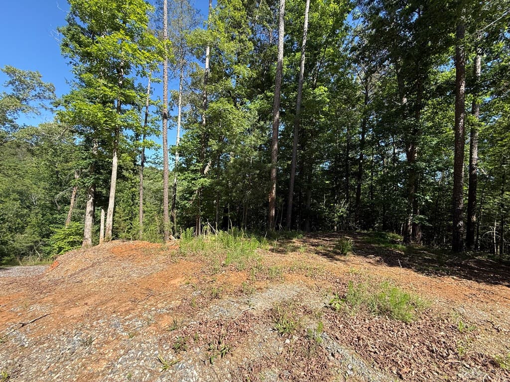 0 Limber Lost Trail, Cleveland GA 30528 - Photo