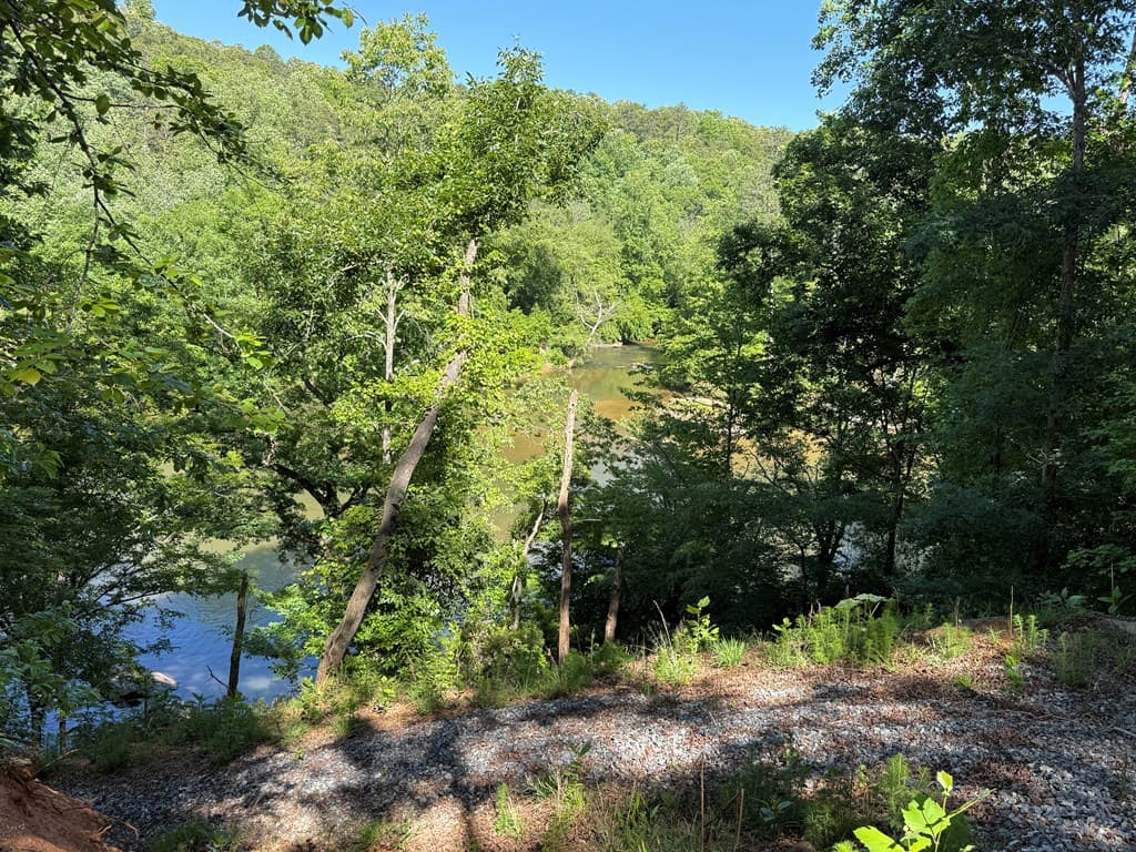 0 Limber Lost Trail, Cleveland GA 30528 - Photo