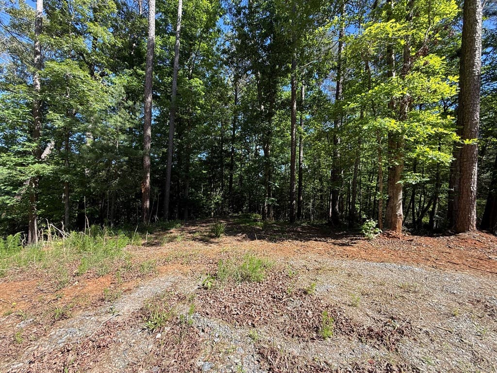 0 Limber Lost Trail, Cleveland GA 30528 - Photo