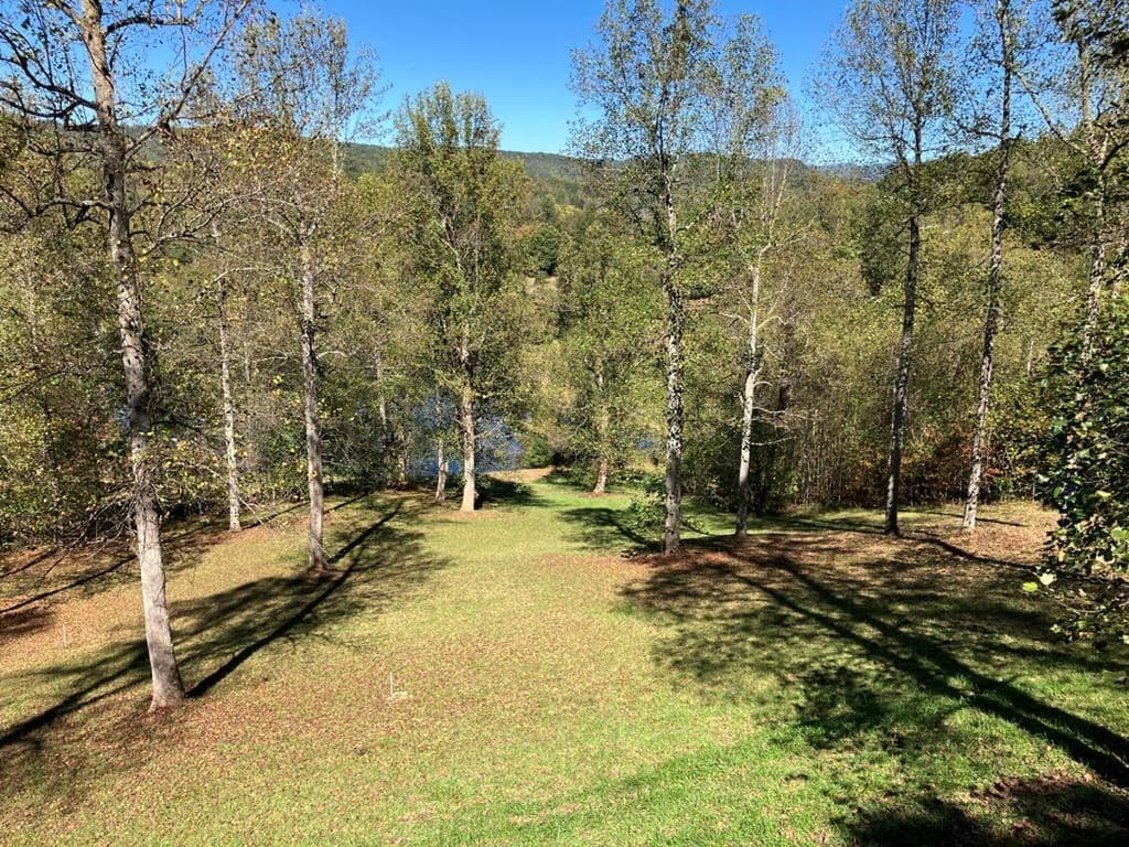 121 White Oak Drive, Warne NC 28909 - Photo