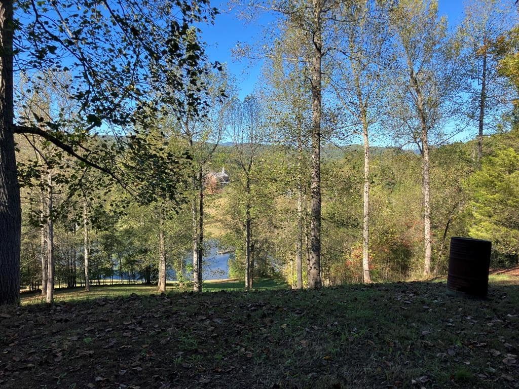 121 White Oak Drive, Warne NC 28909 - Photo