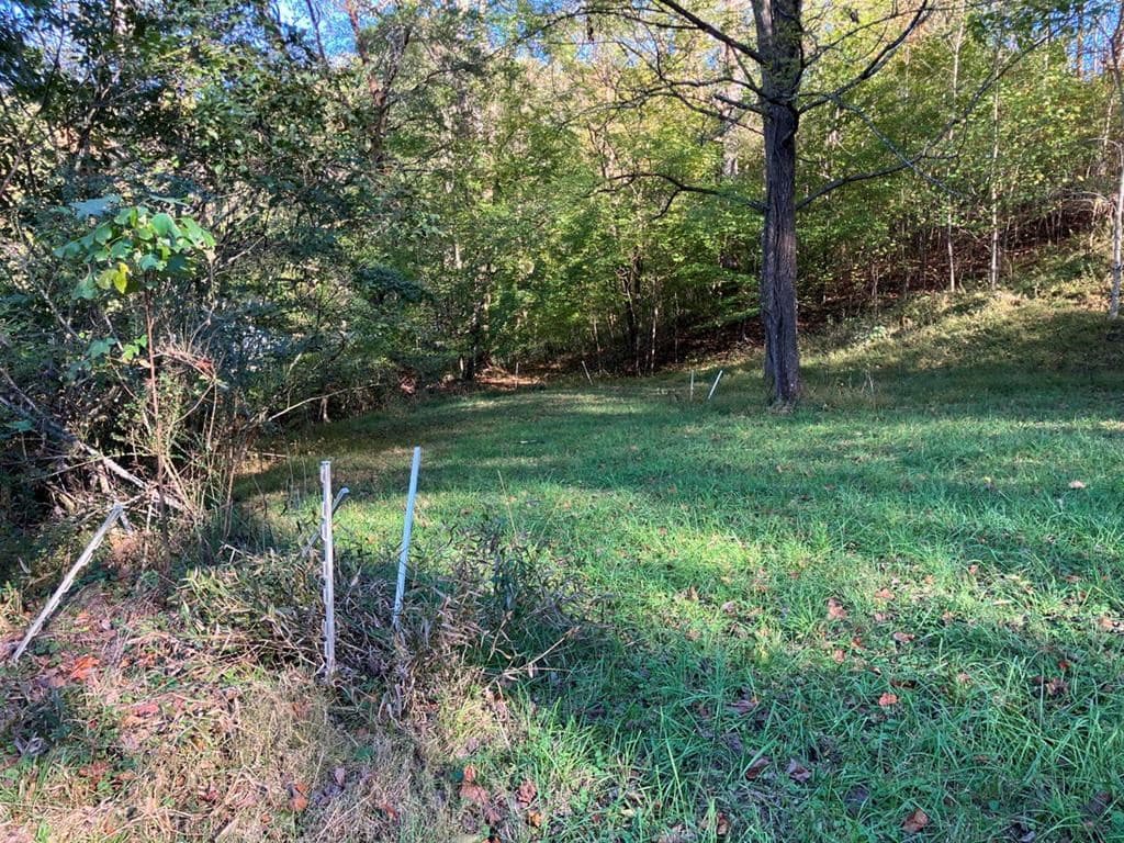 121 White Oak Drive, Warne NC 28909 - Photo