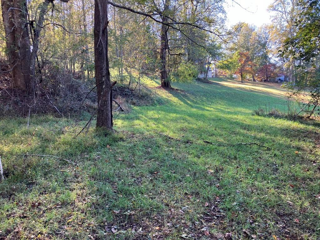 121 White Oak Drive, Warne NC 28909 - Photo