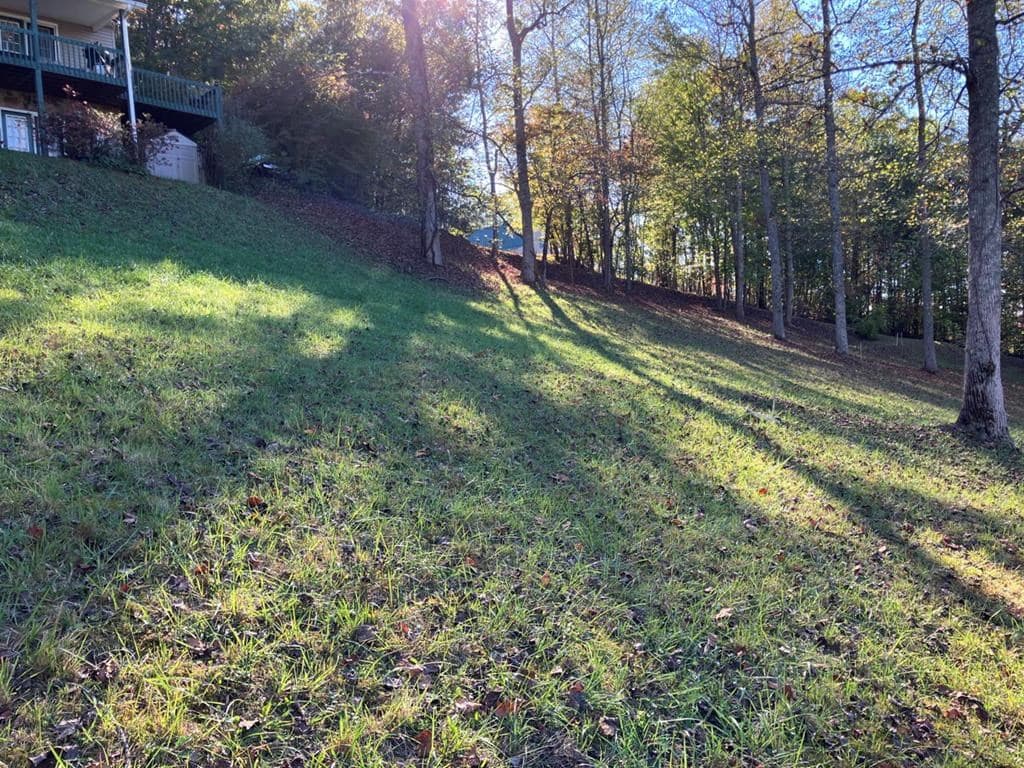 121 White Oak Drive, Warne NC 28909 - Photo