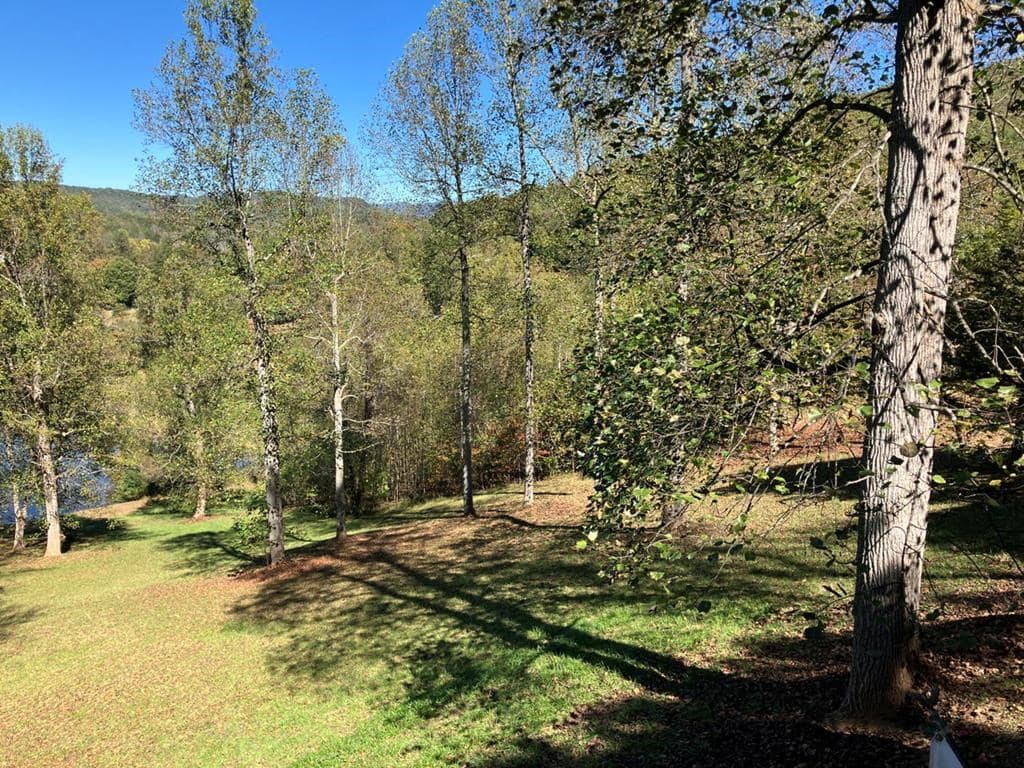 121 White Oak Drive, Warne NC 28909 - Photo