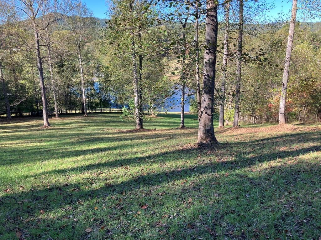 121 White Oak Drive, Warne NC 28909 - Photo