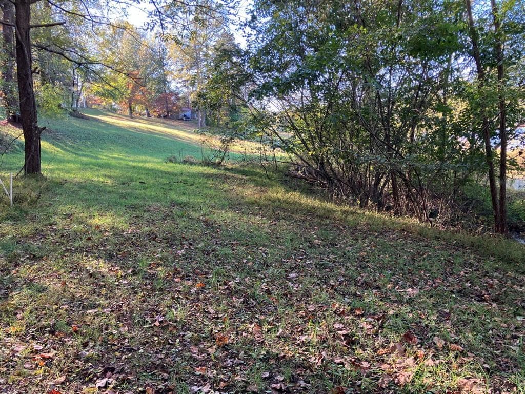 121 White Oak Drive, Warne NC 28909 - Photo