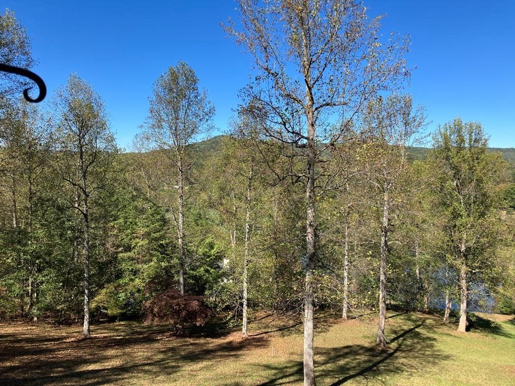 121 White Oak Drive, Warne NC 28909 - Photo